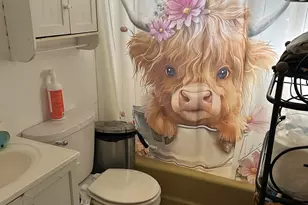 104-110 White Pine Rd, Toccoa, GA 30577 - Photo 8