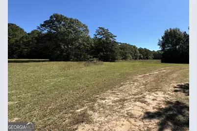 30 Ac W Ellis, Griffin, GA 30223 - Photo 2