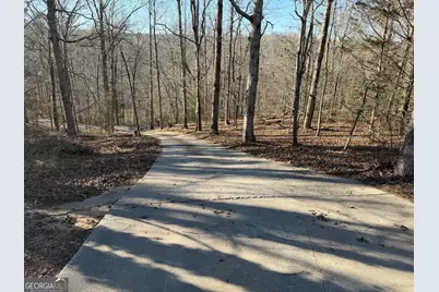 234 Old River Road, Cornelia, GA 30531 - Photo 4