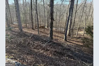 234 Old River Road, Cornelia, GA 30531 - Photo 8