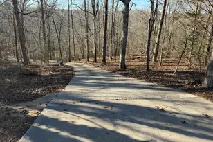 234 Old River Rd, Cornelia, GA 30531 - Photo 2