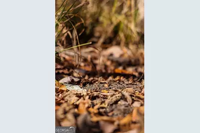 0 Scotland Road, Dublin, GA 31021 - Photo 12