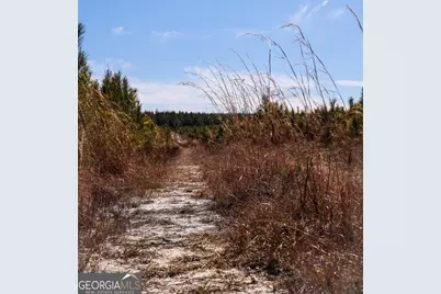 0 Scotland Road, Dublin, GA 31021 - Photo 10