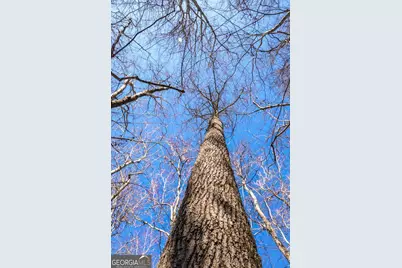 0 Scotland Road, Dublin, GA 31021 - Photo 6