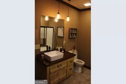 529 Toccoa Preserve Lane, Blue Ridge, GA 30513 - Photo 16