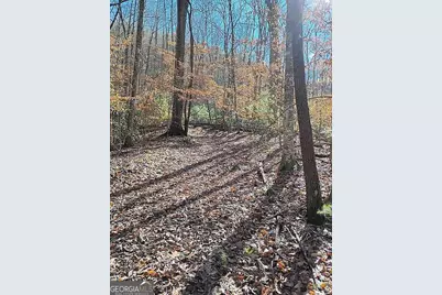 4720 Jones Gap Road, Hiawassee, GA 30546 - Photo 10