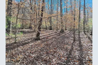 4720 Jones Gap Road, Hiawassee, GA 30546 - Photo 8