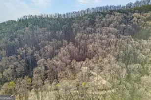 317 Collins Creek Rd, Hiawassee, GA 30546 - Photo 70