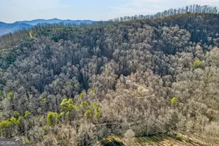 317 Collins Creek Rd, Hiawassee, GA 30546 - Photo 10