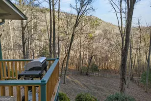 317 Collins Creek Rd, Hiawassee, GA 30546 - Photo 34