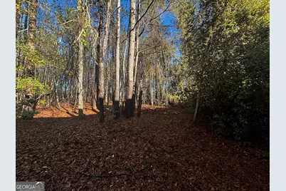 189 Whiteoak Campground Road, Thomson, GA 30824 - Photo 32