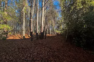 189 Whiteoak Campground Rd, Thomson, GA 30824 - Photo 32