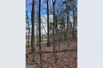 001 Fish Cove Rd., Blairsville, GA 30512 - Photo 6