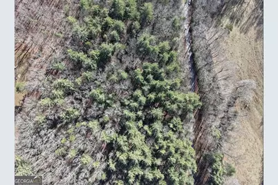 001 Fish Cove Rd., Blairsville, GA 30512 - Photo 4