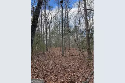 001 Fish Cove Rd., Blairsville, GA 30512 - Photo 12