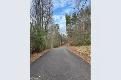 001 Fish Cove Rd., Blairsville, GA 30512 - Photo 2