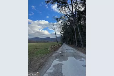 001 Fish Cove Rd., Blairsville, GA 30512 - Photo 8
