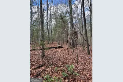 001 Fish Cove Rd., Blairsville, GA 30512 - Photo 10