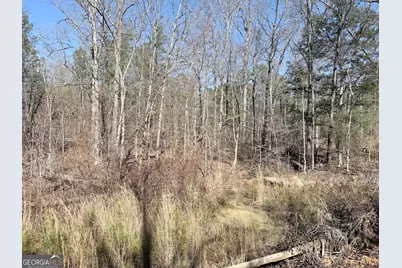 195 Margarets Grove Road SW, Crawfordville, GA 30631 - Photo 26