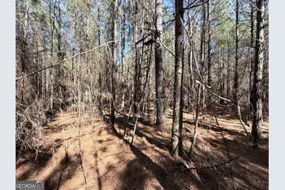 195 Margarets Grove Road SW, Crawfordville, GA 30631 - Photo 30