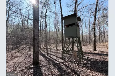 195 Margarets Grove Road SW, Crawfordville, GA 30631 - Photo 20