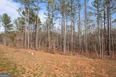 1410 Hunter Welch Parkway, Luthersville, GA 30251 - Photo 38