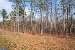 1410 Hunter Welch Pkwy, Luthersville, GA 30251 - Photo 38