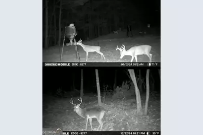 13308 W Highway 136, Talking Rock, GA 30175 - Photo 12