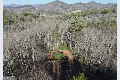 13308 W Highway 136, Talking Rock, GA 30175 - Photo 18