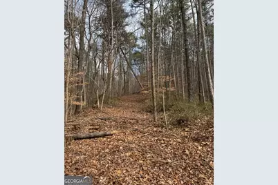 13308 W Highway 136, Talking Rock, GA 30175 - Photo 8