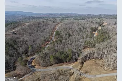 13308 W Highway 136, Talking Rock, GA 30175 - Photo 16