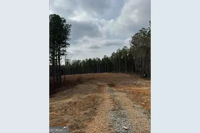 13308 W Highway 136, Talking Rock, GA 30175 - Photo 6