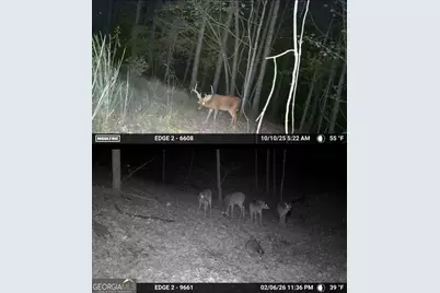 13308 W Highway 136, Talking Rock, GA 30175 - Photo 10