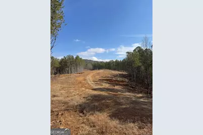 13308 W Highway 136, Talking Rock, GA 30175 - Photo 4