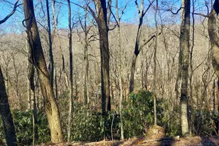 0 Lot 41 Rebel Circle, Sky Valley, GA 30537 - Photo 1