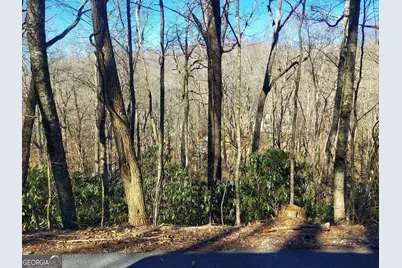 0 Lot 41 Rebel Circle, Sky Valley, GA 30537 - Photo 4