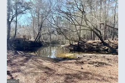 0 Live Oak Lane Road, Nevils, GA 31321 - Photo 4