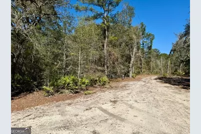 0 Live Oak Lane Road, Nevils, GA 31321 - Photo 6