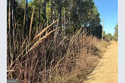 2457 Guy Weatherly Road, Cadwell, GA 31009 - Photo 2