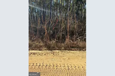 2457 Guy Weatherly Road, Cadwell, GA 31009 - Photo 1