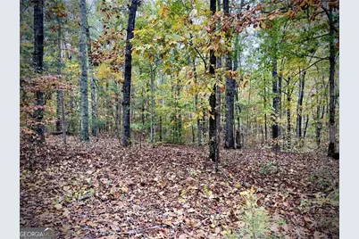 551 Harvey Fields Drive, Canton, GA 30114 - Photo 10