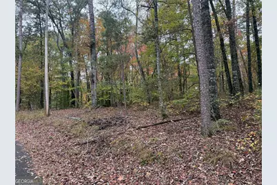 551 Harvey Fields Drive, Canton, GA 30114 - Photo 8