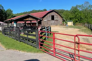 19 Yogi Bear Blvd, Cleveland, GA 30528 - Photo 56