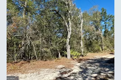 0 Live Oak Lane Road, Nevils, GA 31321 - Photo 6