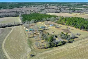 1775 Stoopto Rd, Sylvania, GA 30467 - Photo 66