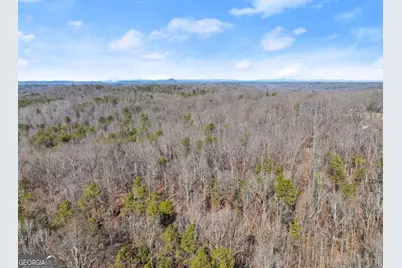 5419 Highway 320, Carnesville, GA 30521 - Photo 16