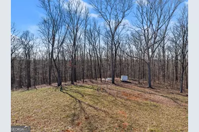 5419 Highway 320, Carnesville, GA 30521 - Photo 8