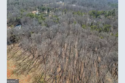 5419 Highway 320, Carnesville, GA 30521 - Photo 10