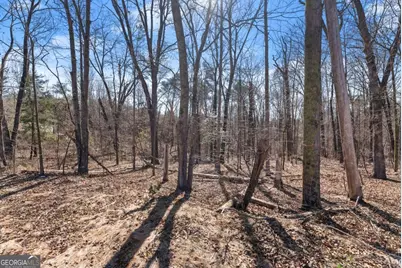 5419 Highway 320, Carnesville, GA 30521 - Photo 6