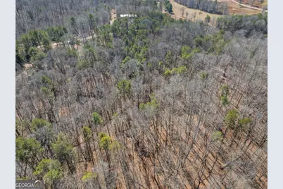 5419 Highway 320, Carnesville, GA 30521 - Photo 12